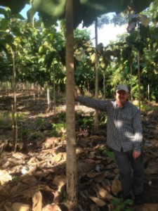 CSR projekt i Panama
