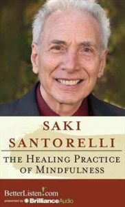 Saki Santorelli The healing power of mindfulness