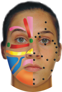 Stress behandling med ansigtszoneterapi